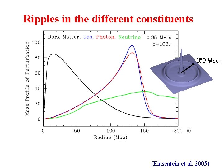 Ripples in the different constituents 150 Mpc. (Einsentein et al. 2005) 