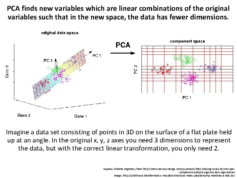 Principal Component Analysis PCA BCH 339 N Systems