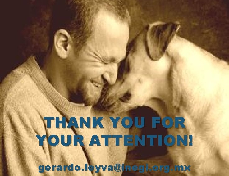 THANK YOU FOR YOUR ATTENTION! gerardo. leyva@inegi. org. mx 