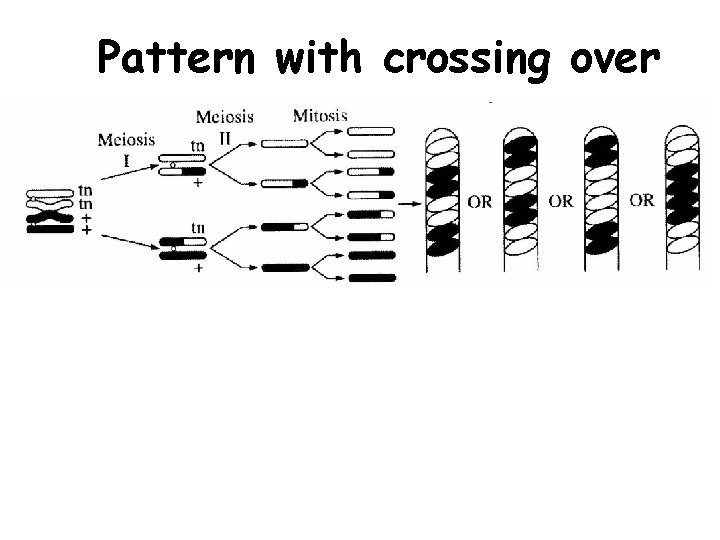 Pattern with crossing over 