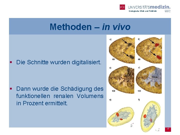 Urologische Klinik und Poliklinik Methoden – in vivo § Die Schnitte wurden digitalisiert. §