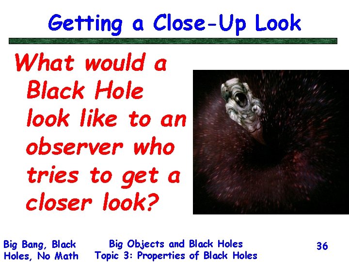 Getting a Close-Up Look What would a Black Hole look like to an observer