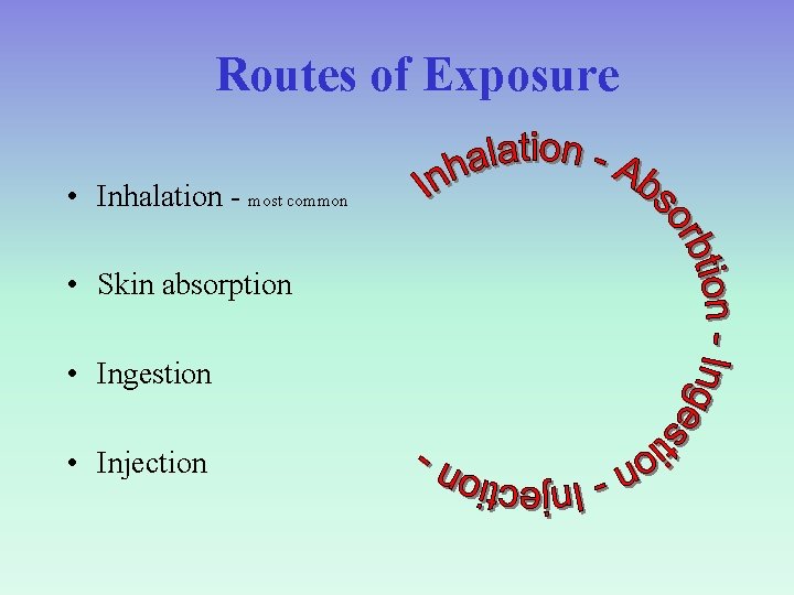 Routes of Exposure • Inhalation - most common • Skin absorption • Ingestion •
