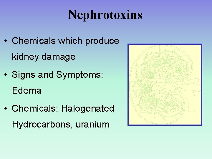 Nephrotoxins • Chemicals which produce kidney damage • Signs and Symptoms: Edema • Chemicals: