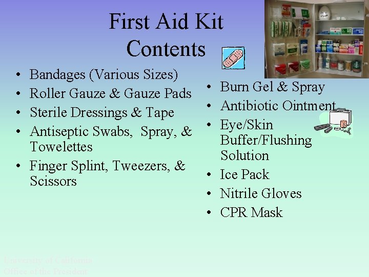 First Aid Kit Contents • • Bandages (Various Sizes) Roller Gauze & Gauze Pads