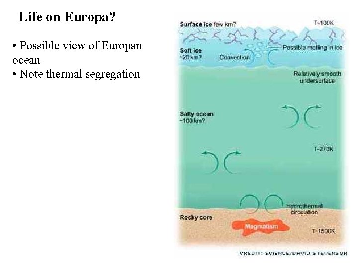 Life on Europa? • Possible view of Europan ocean • Note thermal segregation 