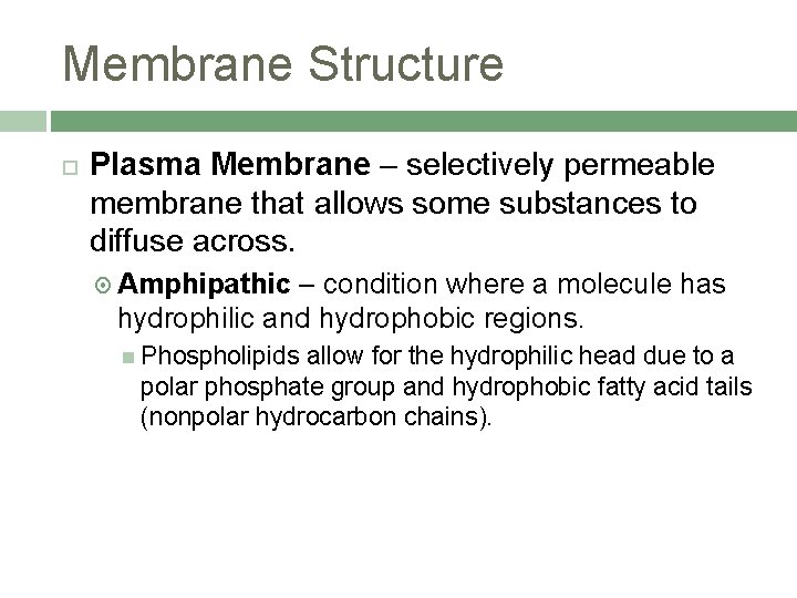 Membrane Structure Plasma Membrane – selectively permeable membrane that allows some substances to diffuse
