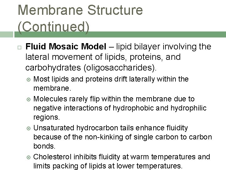 Membrane Structure (Continued) Fluid Mosaic Model – lipid bilayer involving the lateral movement of