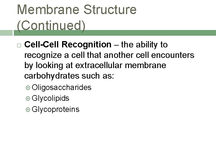 Membrane Structure (Continued) Cell-Cell Recognition – the ability to recognize a cell that another