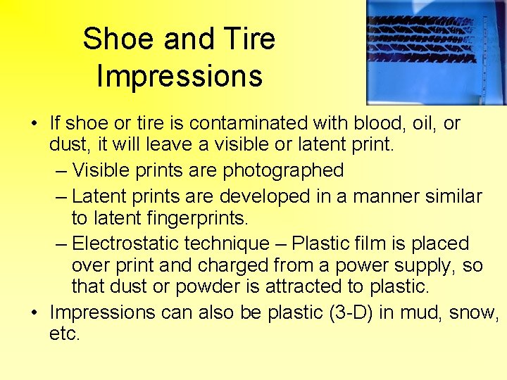 Shoe and Tire Impressions • If shoe or tire is contaminated with blood, oil,