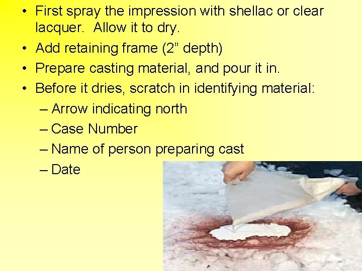  • First spray the impression with shellac or clear lacquer. Allow it to
