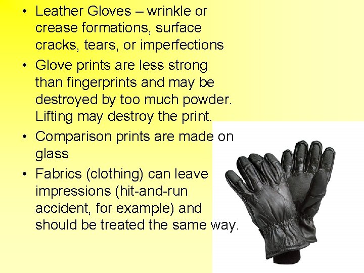  • Leather Gloves – wrinkle or crease formations, surface cracks, tears, or imperfections