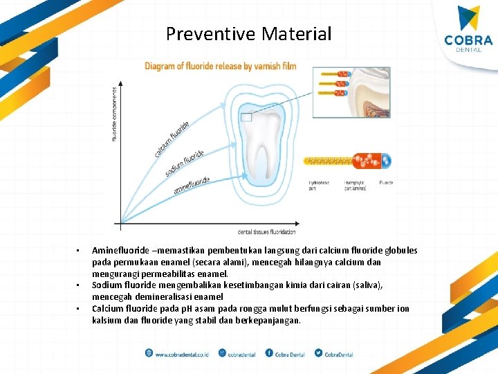 Preventive Material • • • Aminefluoride –memastikan pembentukan langsung dari calcium fluoride globules pada