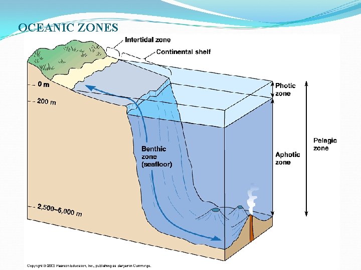 OCEANIC ZONES 