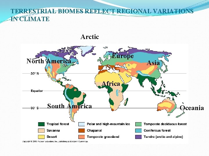 TERRESTRIAL BIOMES REFLECT REGIONAL VARIATIONS IN CLIMATE Arctic North America Europe Asia Africa South