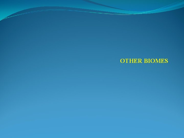 OTHER BIOMES 
