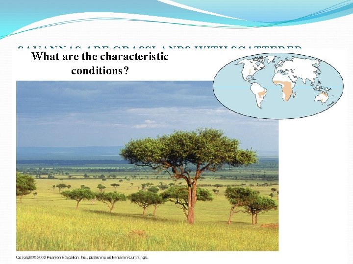 SAVANNAS ARE GRASSLANDS WITH SCATTERED What are the characteristic TREES conditions? 