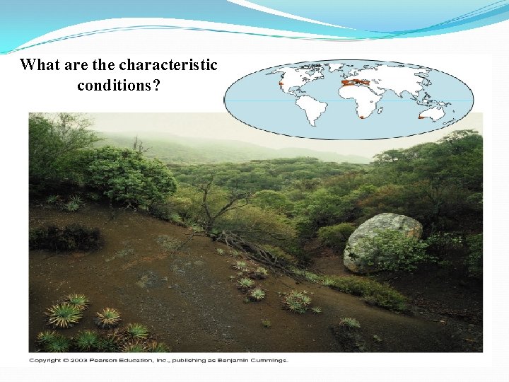 What are the characteristic SPINY SHRUBS DOMINATE THE CHAPARRAL conditions? 