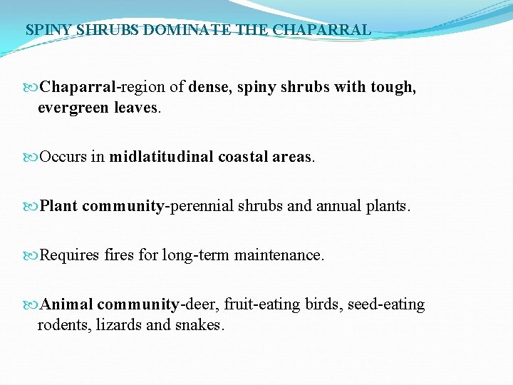 SPINY SHRUBS DOMINATE THE CHAPARRAL Chaparral-region of dense, spiny shrubs with tough, evergreen leaves.