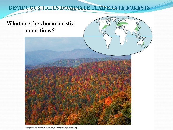 DECIDUOUS TREES DOMINATE TEMPERATE FORESTS What are the characteristic conditions? 
