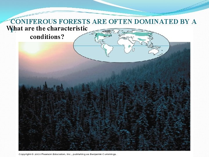 CONIFEROUS FORESTS ARE OFTEN DOMINATED BY A What the characteristic FEWare SPECIES OF TREES