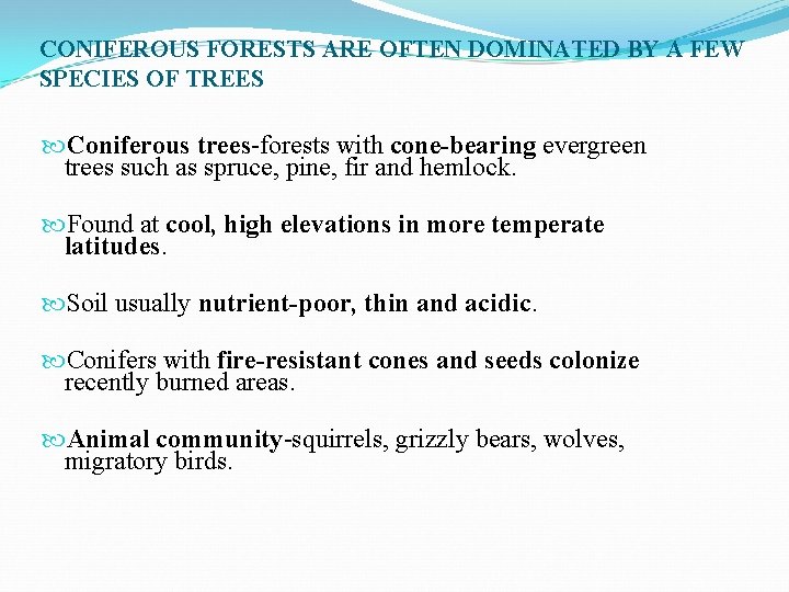 CONIFEROUS FORESTS ARE OFTEN DOMINATED BY A FEW SPECIES OF TREES Coniferous trees-forests with