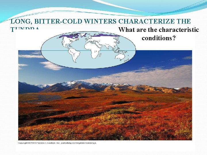 LONG, BITTER-COLD WINTERS CHARACTERIZE THE What are the characteristic TUNDRA conditions? 
