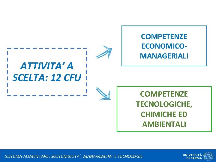 ATTIVITA’ A SCELTA: 12 CFU COMPETENZE ECONOMICOMANAGERIALI COMPETENZE TECNOLOGICHE, CHIMICHE ED AMBIENTALI SISTEMA ALIMENTARE:
