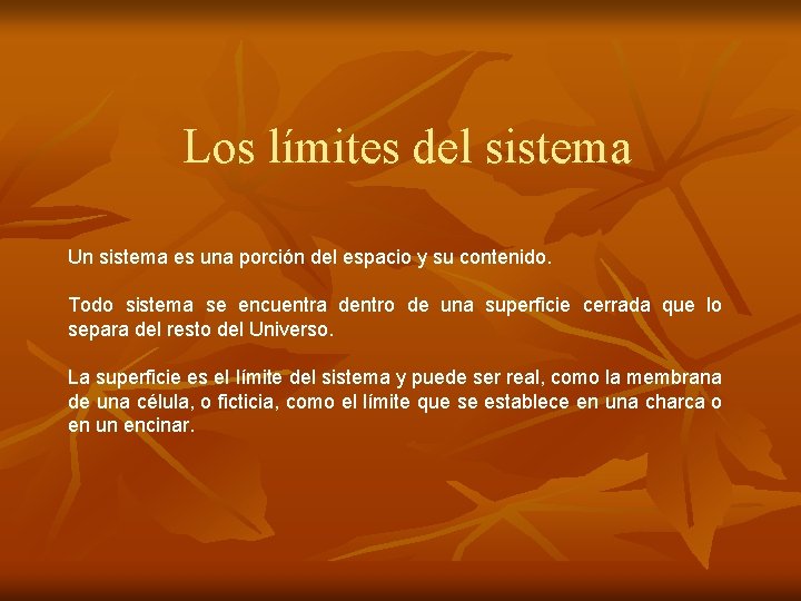Los límites del sistema Un sistema es una porción del espacio y su contenido.