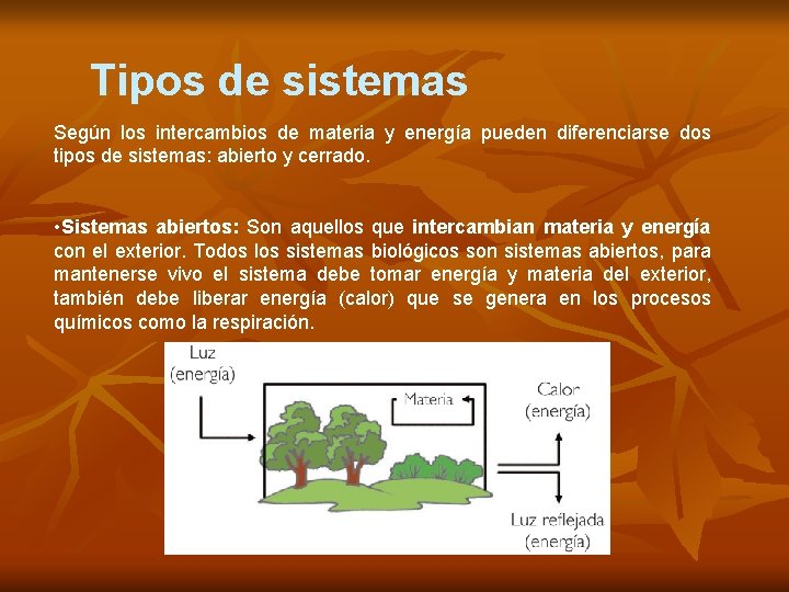 Tipos de sistemas Según los intercambios de materia y energía pueden diferenciarse dos tipos