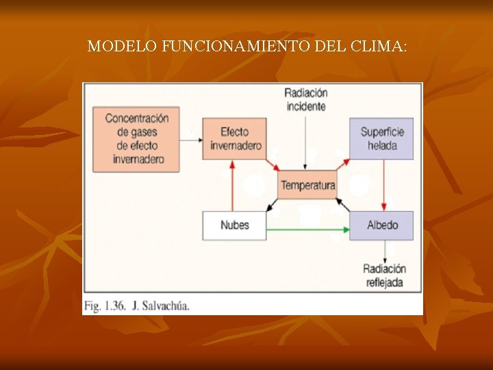 MODELO FUNCIONAMIENTO DEL CLIMA: 
