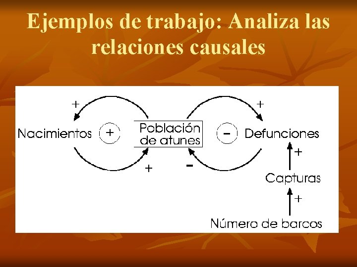 Ejemplos de trabajo: Analiza las relaciones causales 