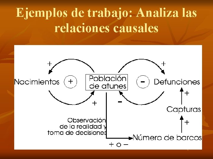 Ejemplos de trabajo: Analiza las relaciones causales 