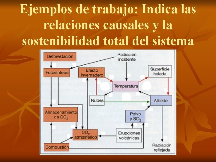 Ejemplos de trabajo: Indica las relaciones causales y la sostenibilidad total del sistema 