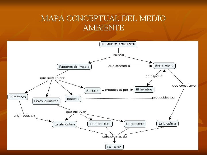 MAPA CONCEPTUAL DEL MEDIO AMBIENTE 