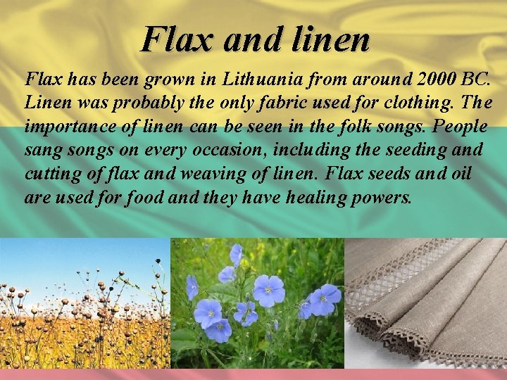 Flax and linen Flax has been grown in Lithuania from around 2000 BC. Linen