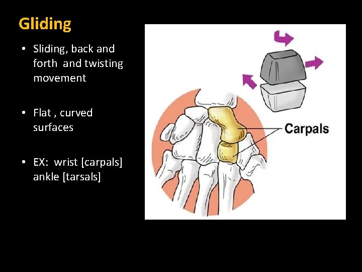 Gliding • Sliding, back and forth and twisting movement • Flat , curved surfaces Gliding • Sliding, back and forth and twisting movement • Flat , curved surfaces