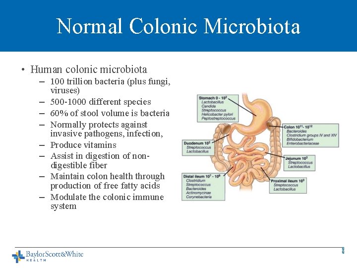 Normal Colonic Microbiota • Human colonic microbiota – 100 trillion bacteria (plus fungi, viruses)