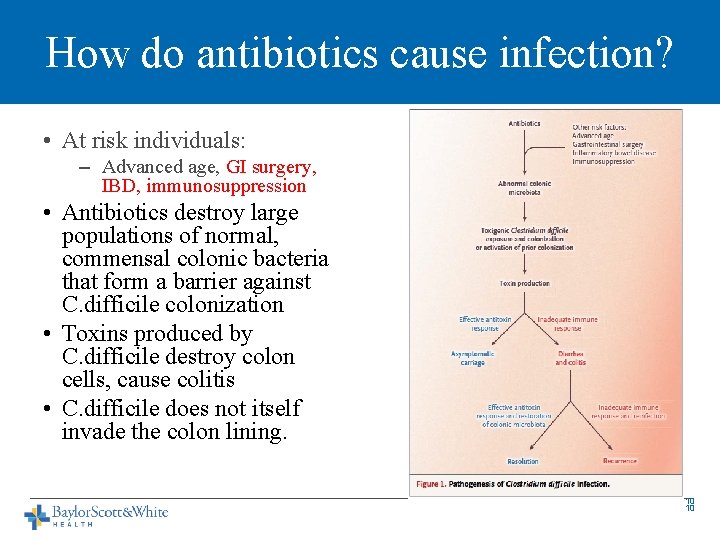 How do antibiotics cause infection? • At risk individuals: – Advanced age, GI surgery,