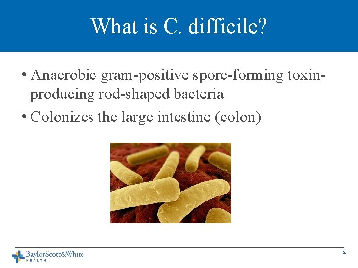 What is C. difficile? • Anaerobic gram-positive spore-forming toxinproducing rod-shaped bacteria • Colonizes the