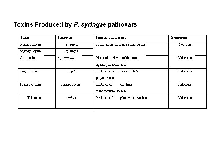 Toxins Produced by P. syringae pathovars Toxin Pathovar Syringomycin syringae Syringopeptin syringae Coronatine e.