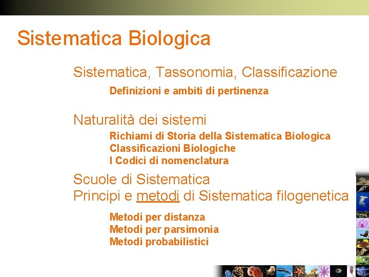 Sistematica Biologica Sistematica, Tassonomia, Classificazione Definizioni e ambiti di pertinenza Naturalità dei sistemi Richiami