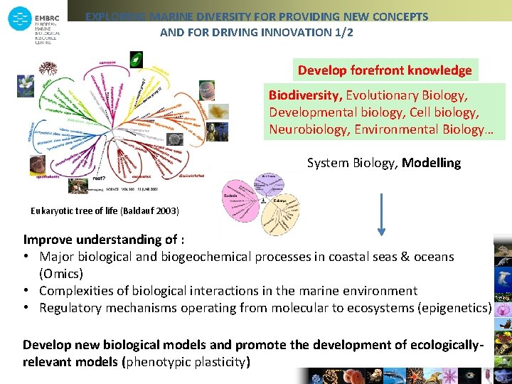 EXPLORING MARINE DIVERSITY FOR PROVIDING NEW CONCEPTS AND FOR DRIVING INNOVATION 1/2 Develop forefront