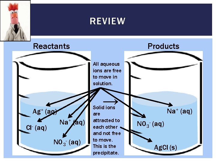 REVIEW Reactants Products All aqueous ions are free to move in solution. → Ag+