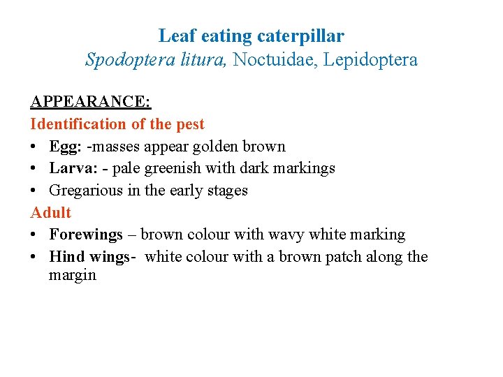 Leaf eating caterpillar Spodoptera litura, Noctuidae, Lepidoptera APPEARANCE: Identification of the pest • Egg: