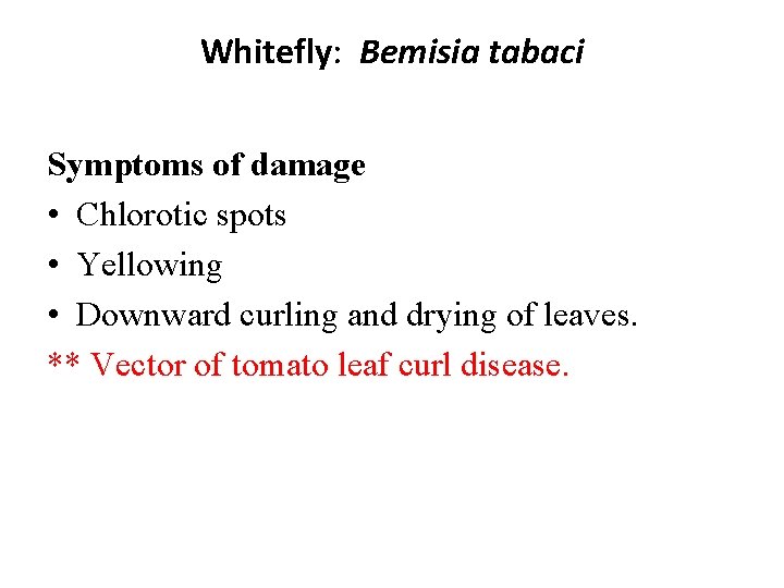 Whitefly: Bemisia tabaci Symptoms of damage • Chlorotic spots • Yellowing • Downward curling