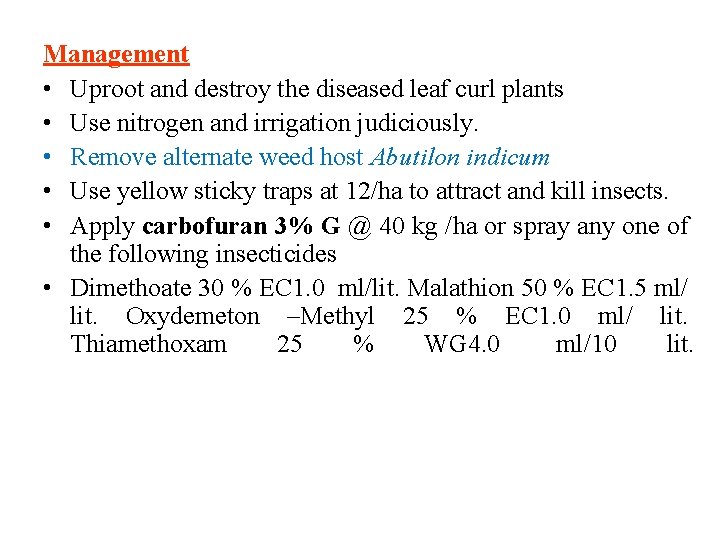 Management • Uproot and destroy the diseased leaf curl plants • Use nitrogen and