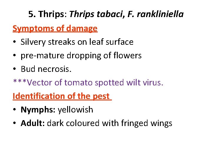 5. Thrips: Thrips tabaci, F. rankliniella Symptoms of damage • Silvery streaks on leaf
