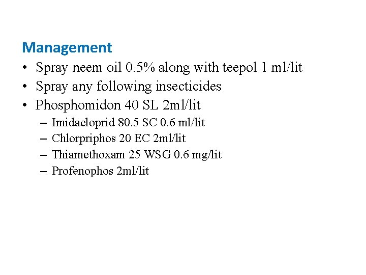 Management • Spray neem oil 0. 5% along with teepol 1 ml/lit • Spray