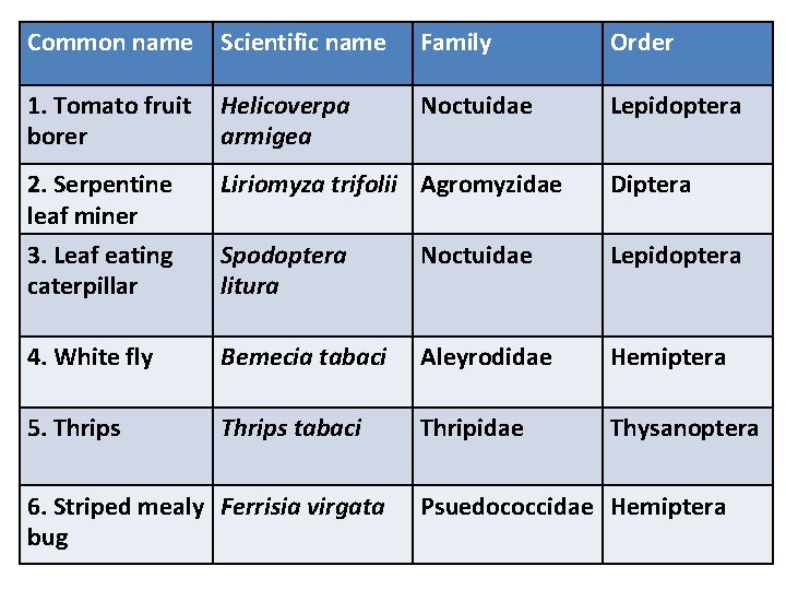 Common name Scientific name Family Order 1. Tomato fruit borer Helicoverpa armigea Noctuidae Lepidoptera